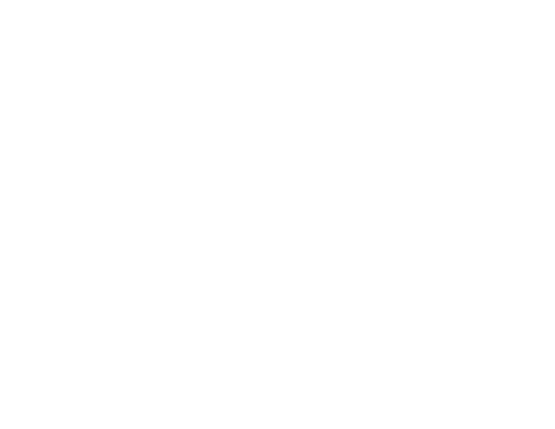 Armand Lee with white text a smaller logo - Armand Lee and Co